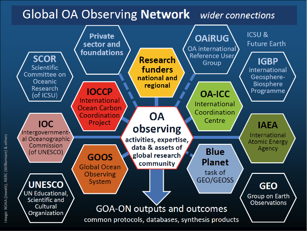 GOAON governing structure