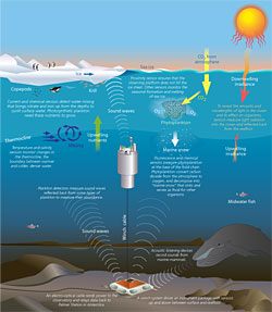 A myriad of intruments and sensors is being used to survey the ocean