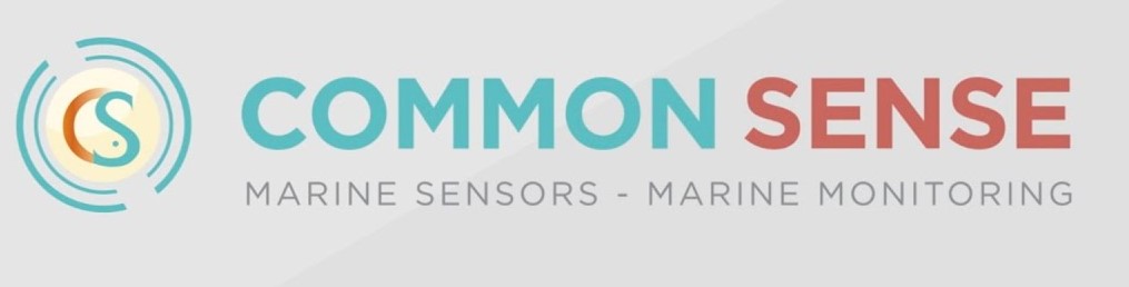 CommonSense logo