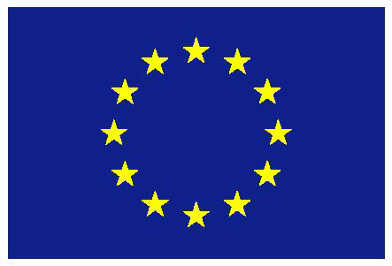 EUflag colour