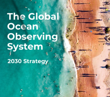 GOOS Strategy 2030 SLIDER 20190522 ap