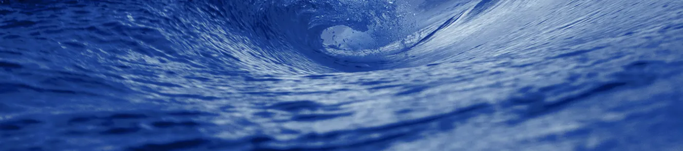 Surface Ocean Biogeochemistry Observations