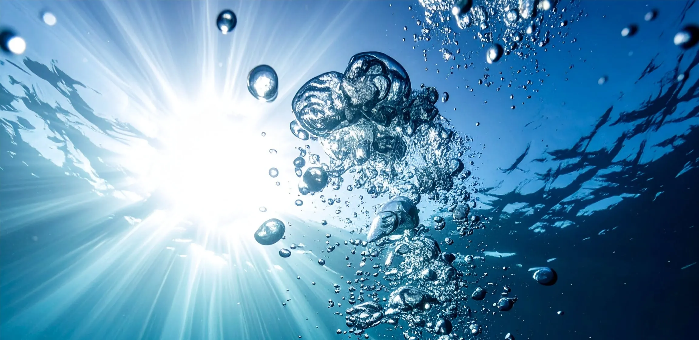 Marine biogeochemistry