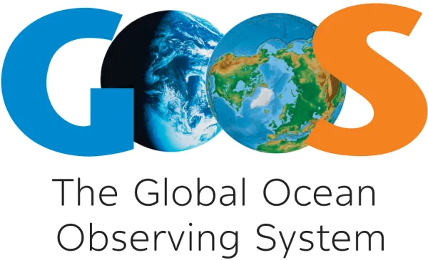 The launch of the Global Ocean Observing System 2030 Strategy