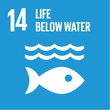 Survey on ocean acidification research and observation data – SDG 14.3.1 Indicator methodology