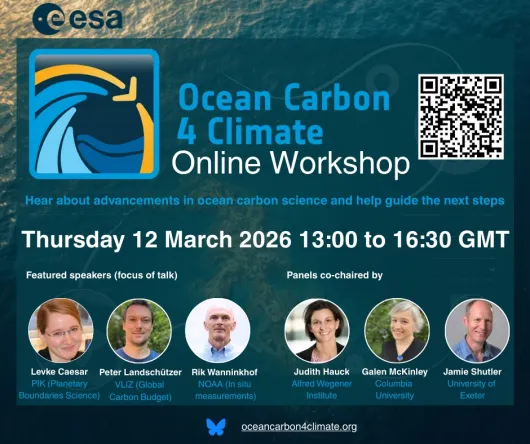 Ocean Carbon for Climate Online Workshop 2026