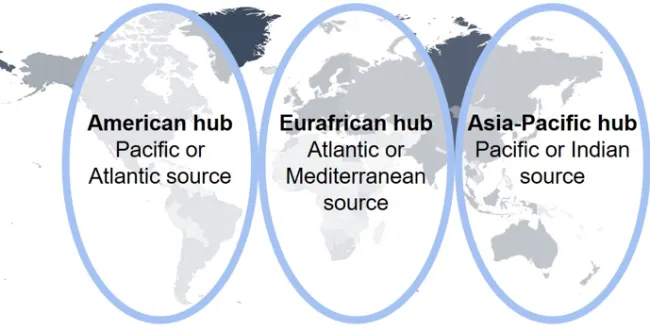 POSITION PAPER: Call to secure a resilient global supply of certified reference materials for the seawater carbonate system